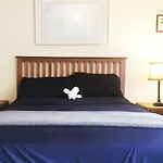 The Plumeria Hostel Alternative