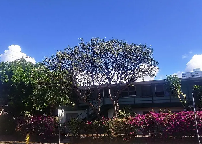 The Plumeria Hostel Alternative