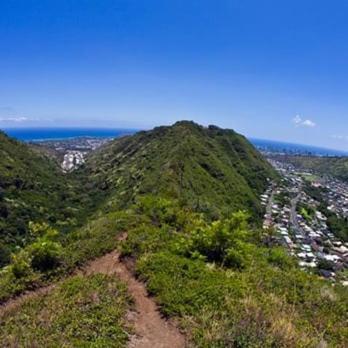 Aloha Spirit Inc Homestay