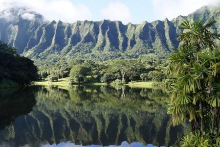 Aloha Spirit Inc