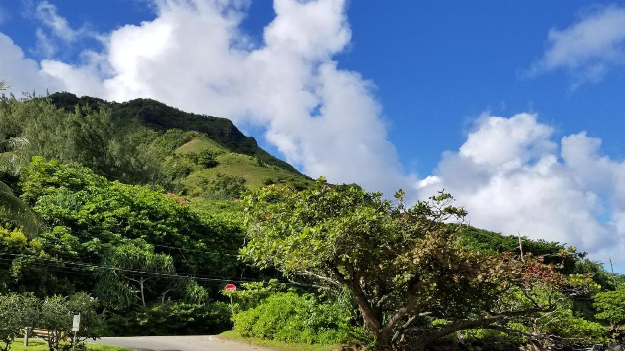 Aloha Spirit Inc Homestay Honolulu