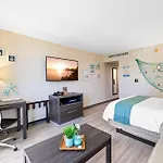 Relaxing & Cozy Coastal Studio With Free Parking!