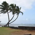 Aloha Spirit Inc