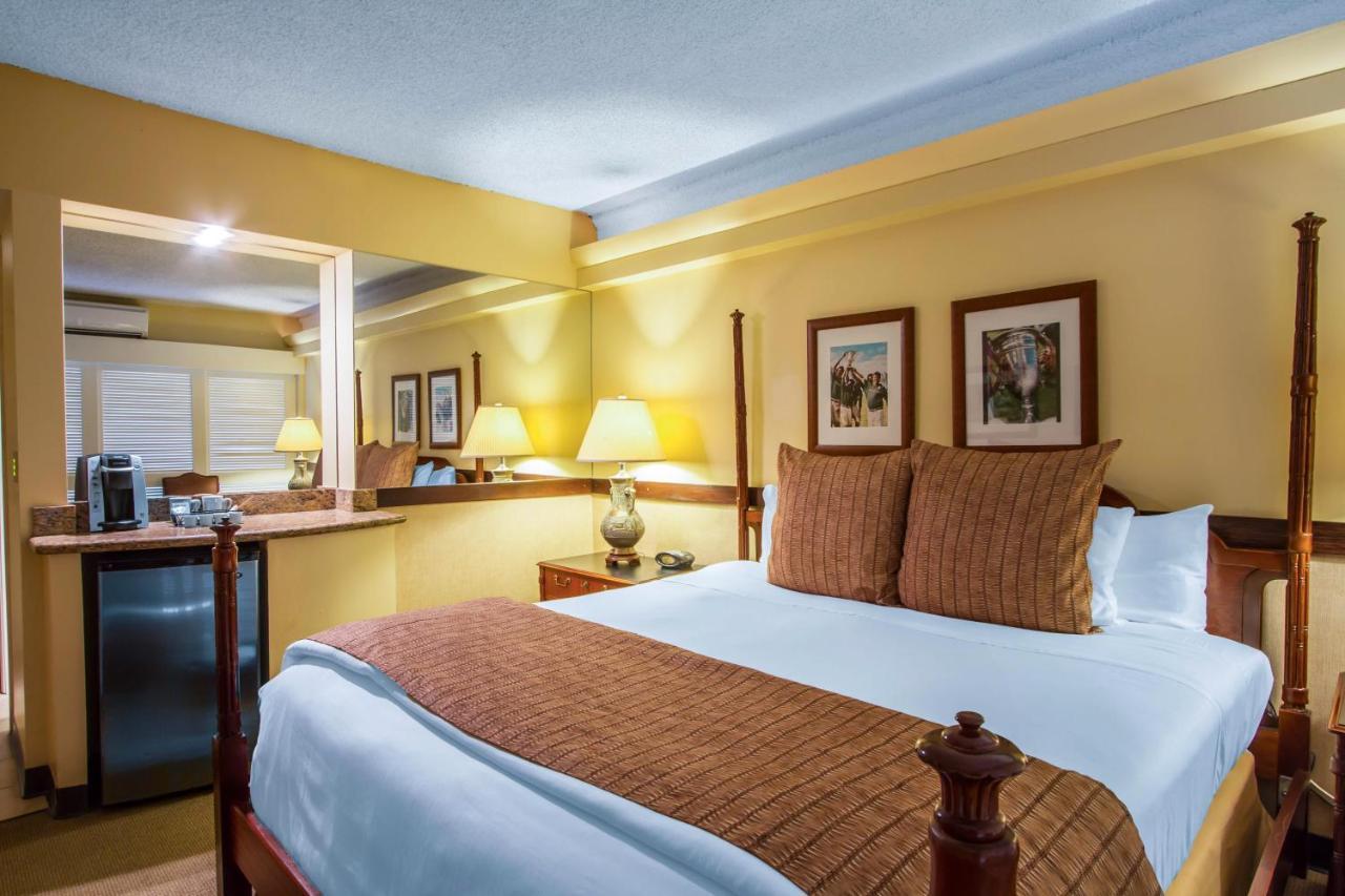 Hotel The Equus