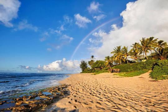 Paradise At Ehupua