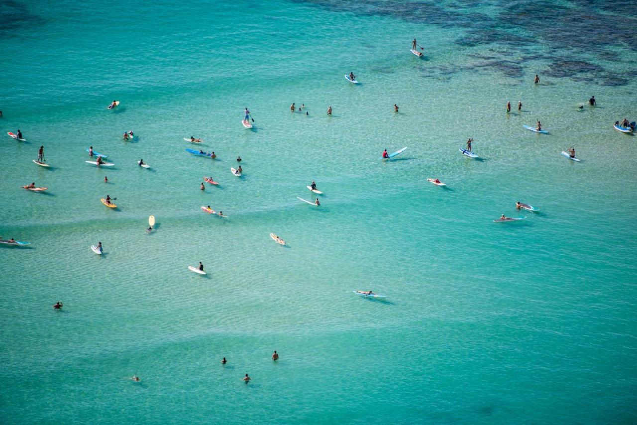 Waikiki Banyan 2111a Honolulu