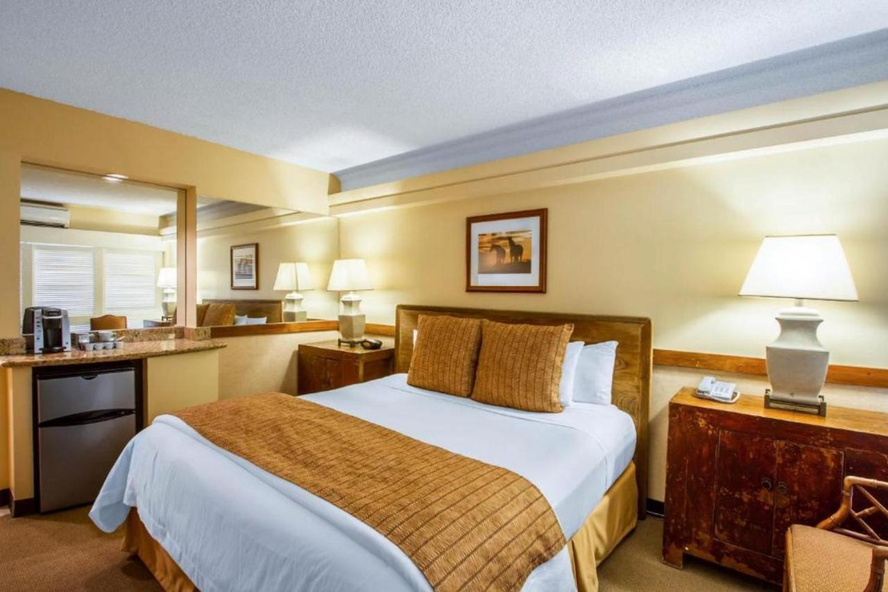 Hotel The Equus 4*