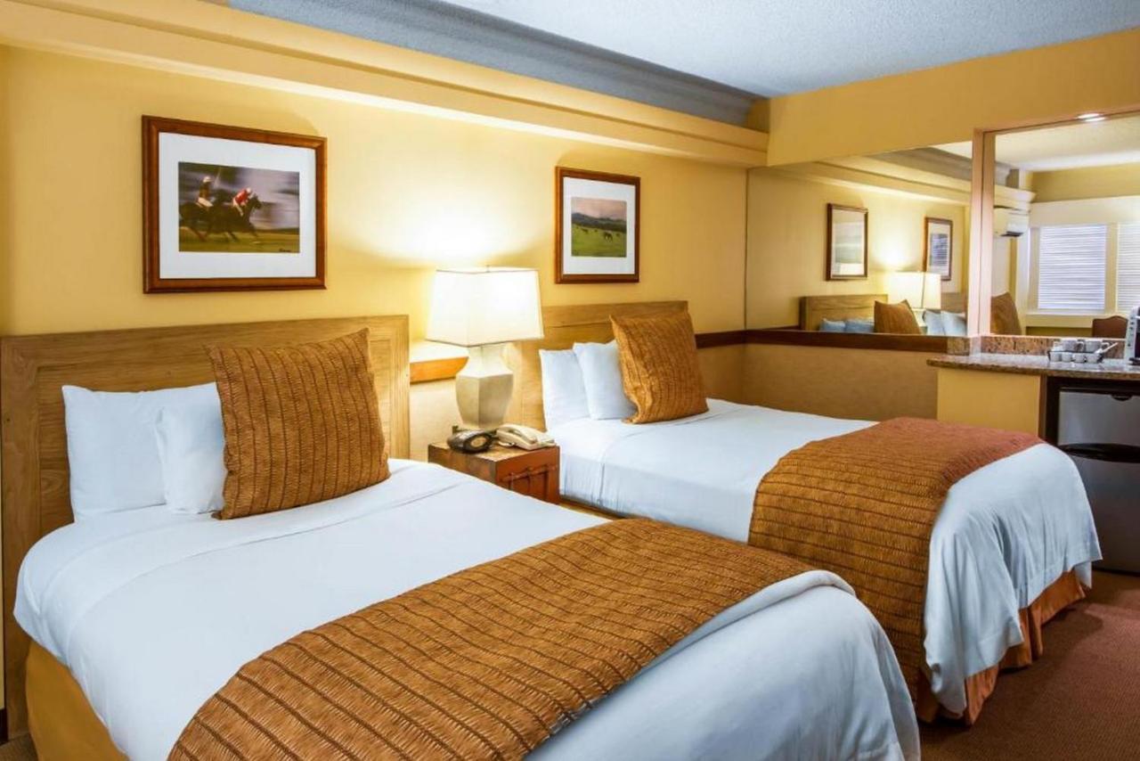 The Equus Hotel Honolulu