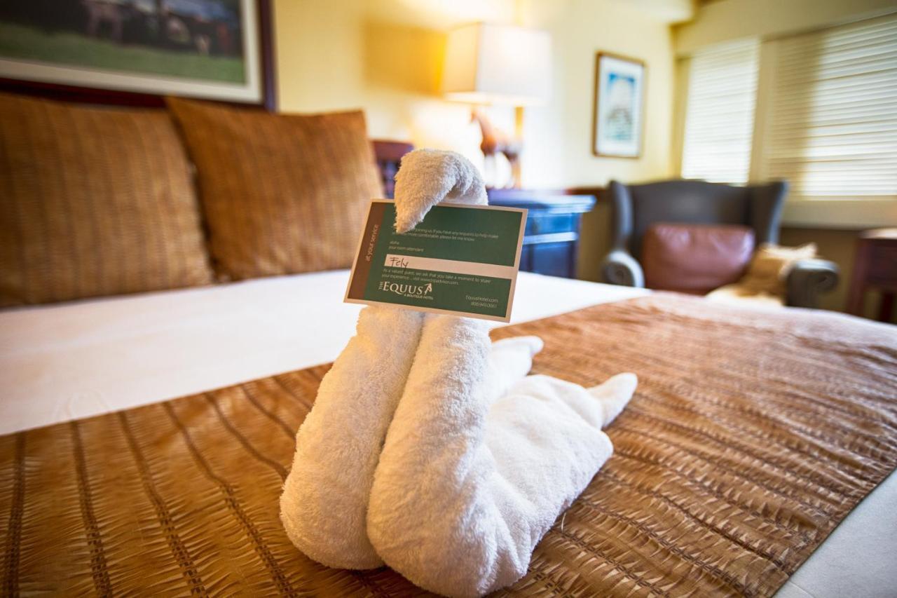 Hotel The Equus 4*