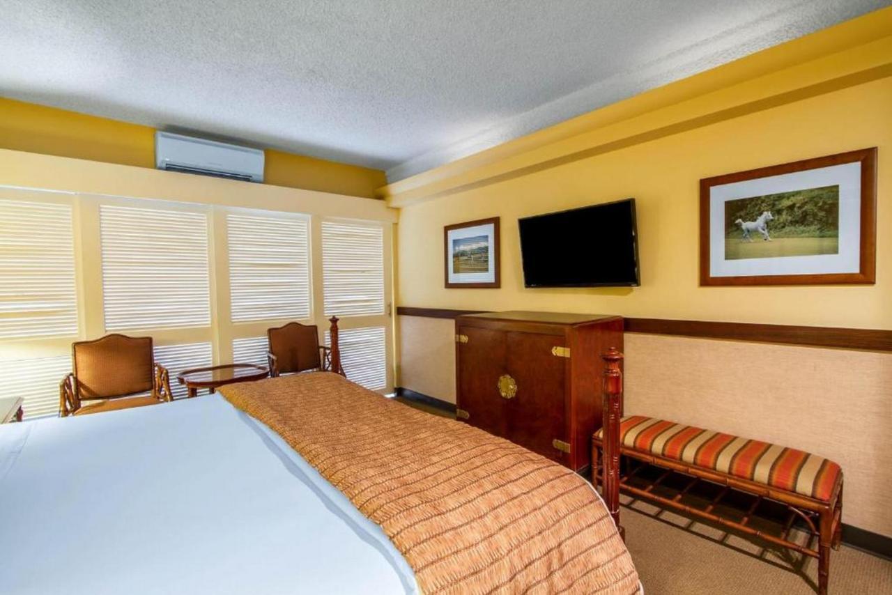 The Equus Hotel