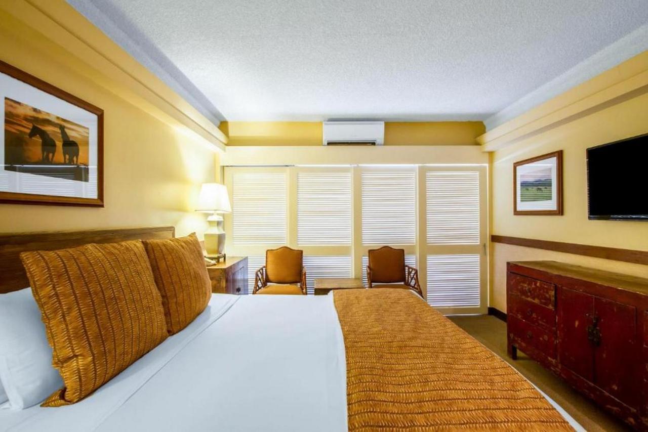 The Equus Hotel