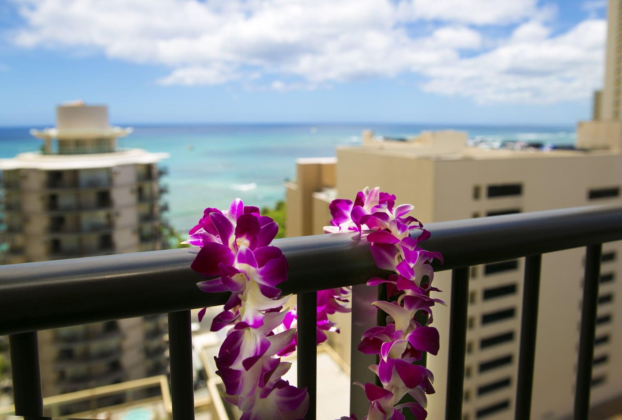 Waikiki 3*