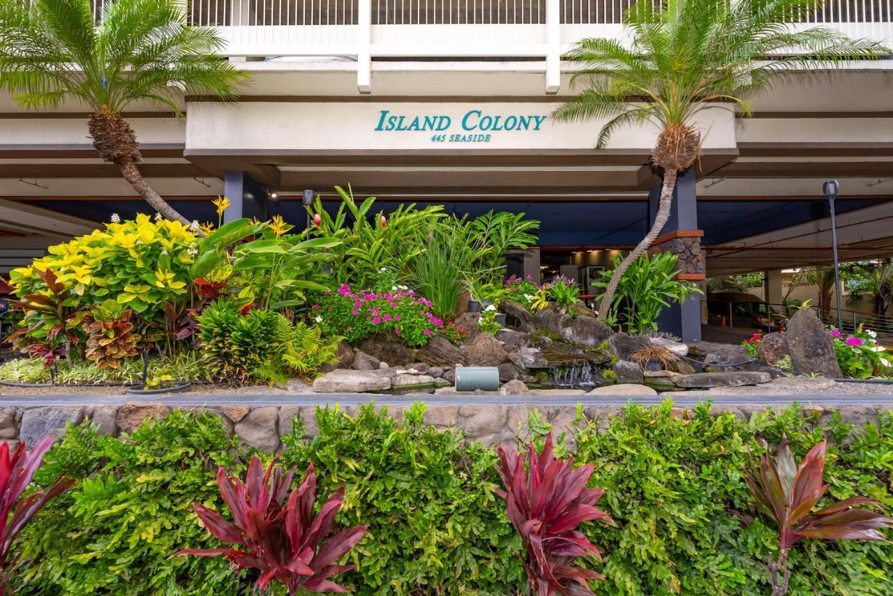 Island Colony 2020 Thirty Night Apartment Honolulu