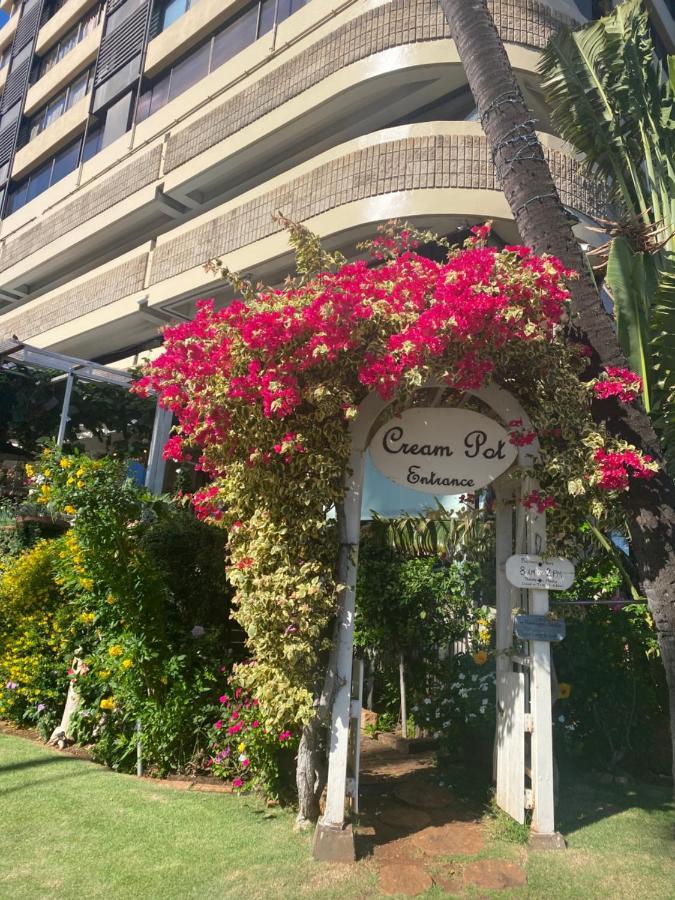 Hawaiian Monarch Cozy