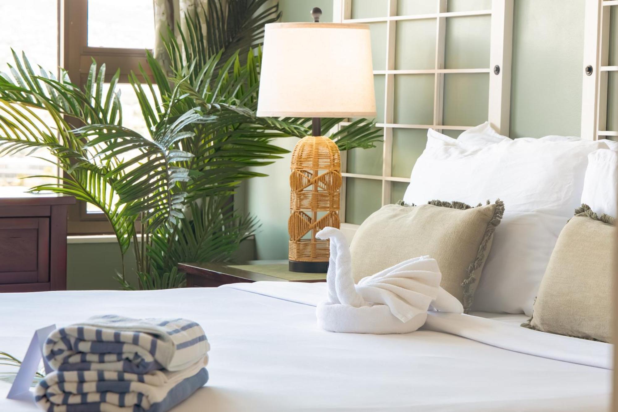 Mountain View W/ King-size Bed, Free Parking