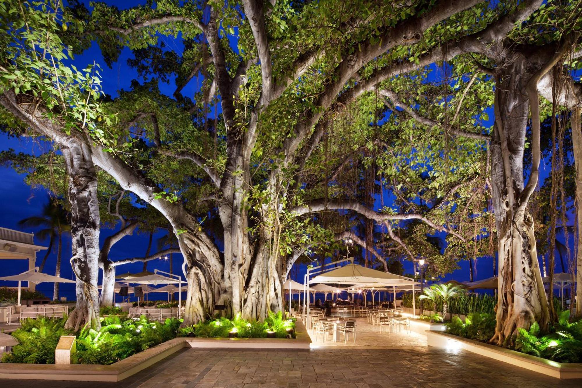 Moana Surfrider, A Westin & Spa, Waikiki Resort Honolulu