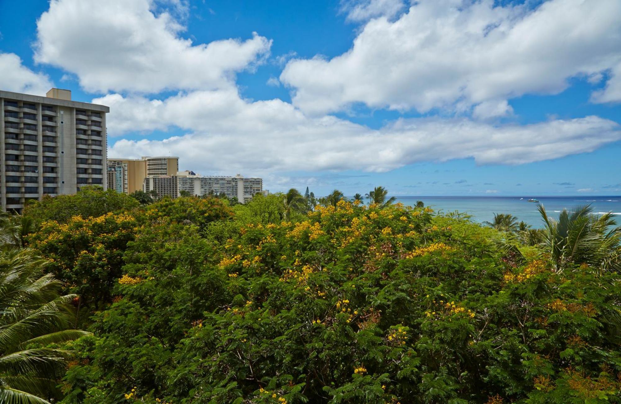Hilton Hawaiian Village Waikiki Resort 4*