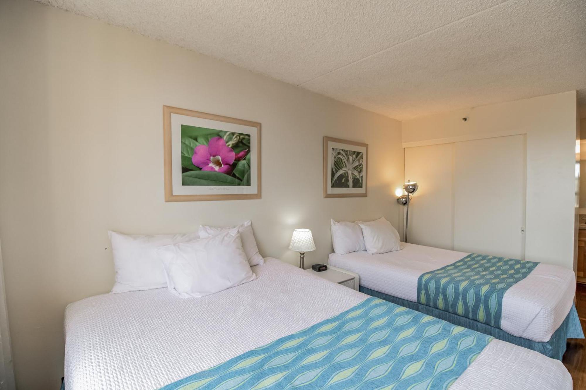 Elevated With Diamond Head & Ocean Views, Steps From Waikiki *