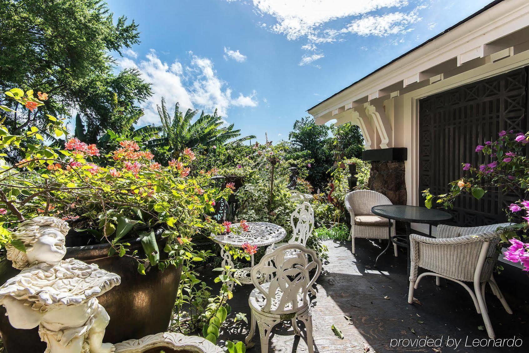 Bed & Breakfast Manoa Valley Honolulu