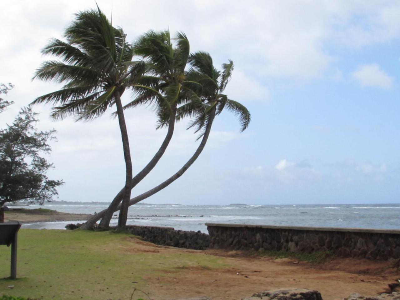 Aloha Spirit Inc Homestay