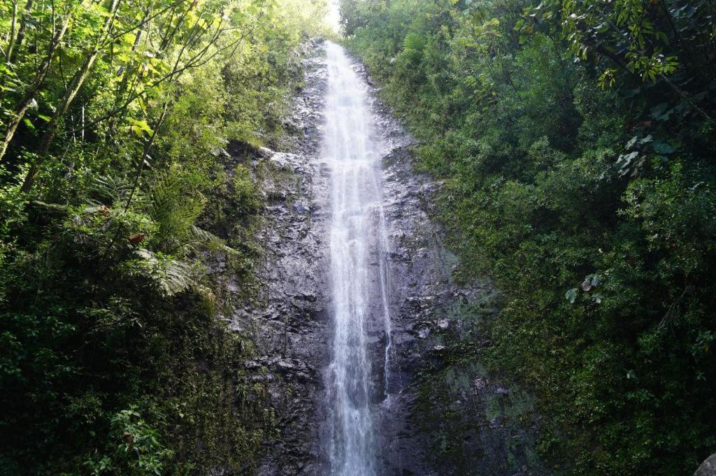 Homestay Aloha Spirit Inc *