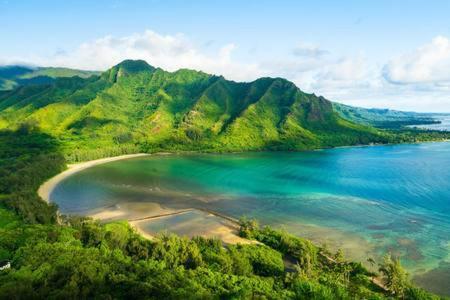 Aloha Spirit Inc Homestay