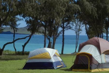 Homestay Aloha Spirit Inc Honolulu