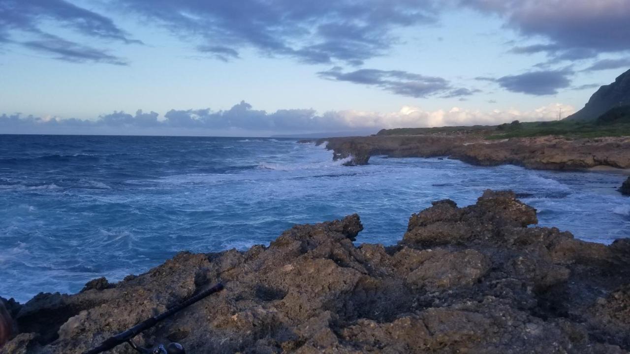 Aloha Spirit Inc Homestay Honolulu