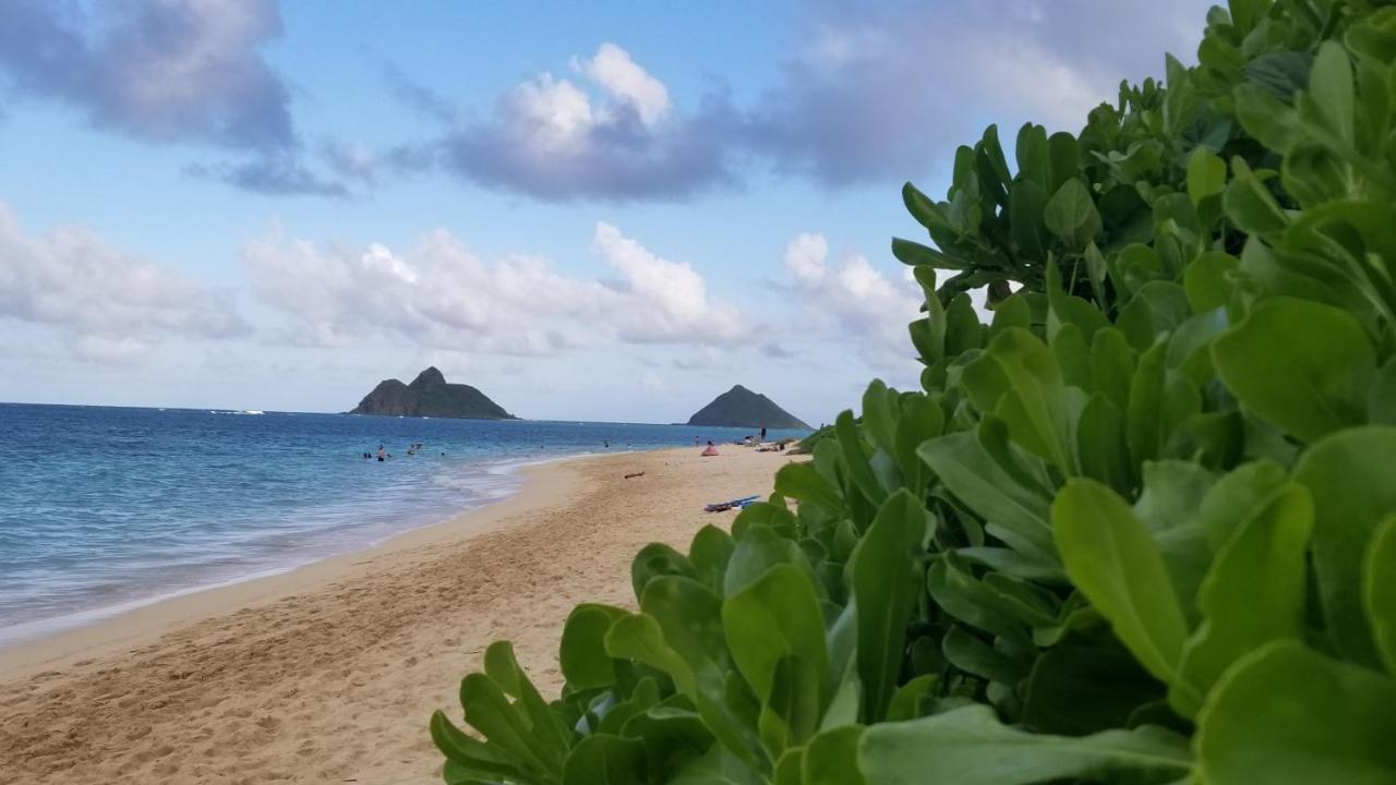 Homestay Aloha Spirit Inc