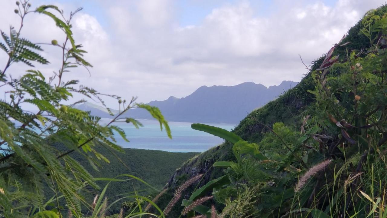 Aloha Spirit Inc *