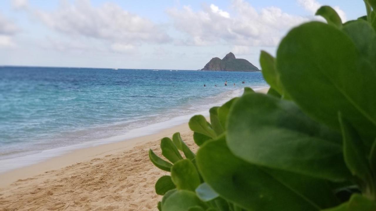 Aloha Spirit Inc