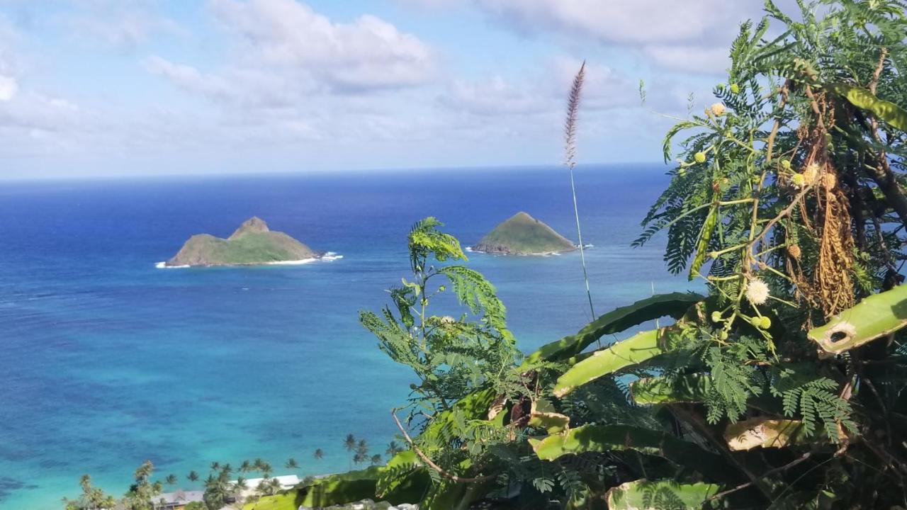 Homestay Aloha Spirit Inc *