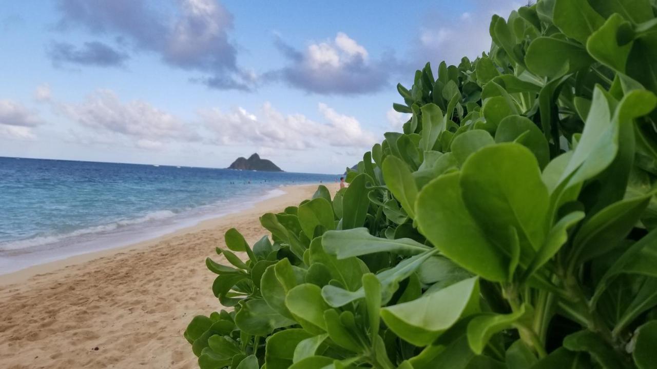 Aloha Spirit Inc
