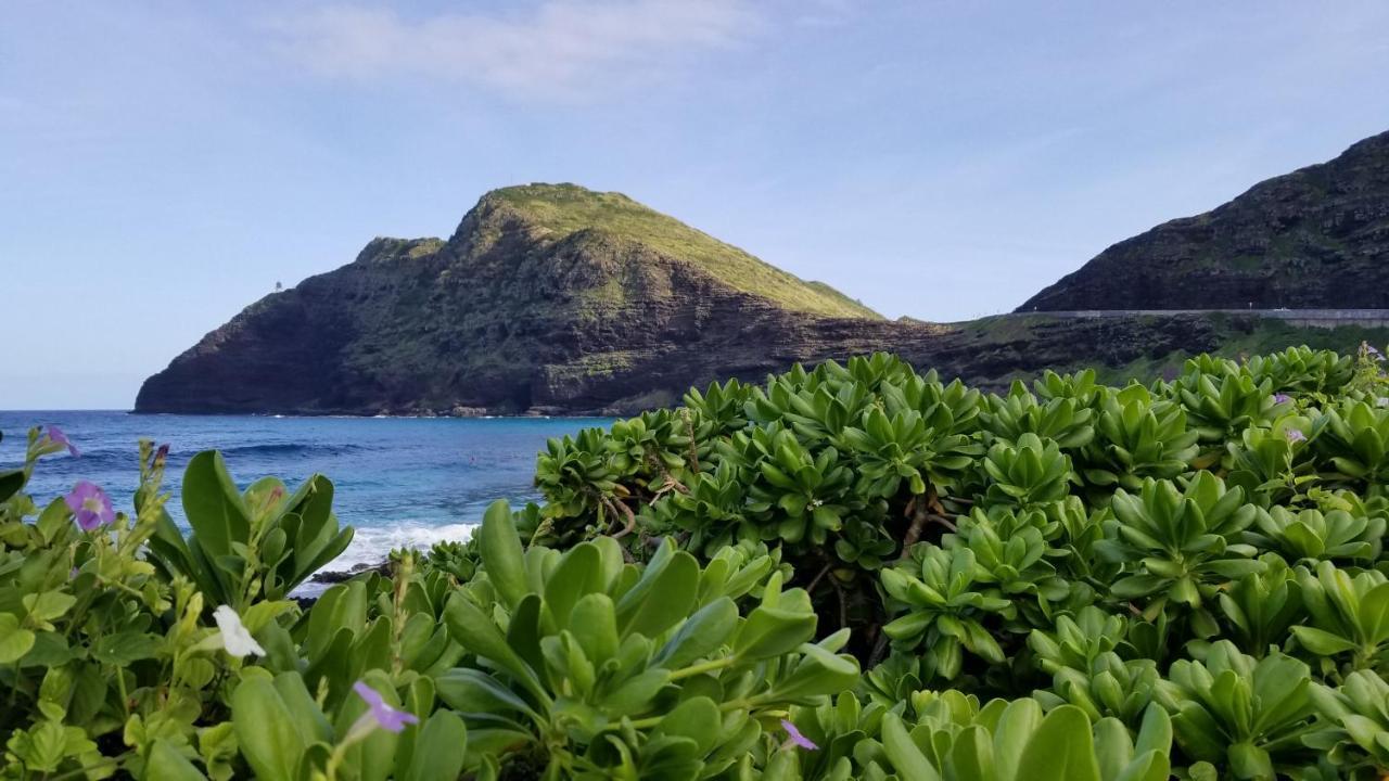 Aloha Spirit Inc Homestay