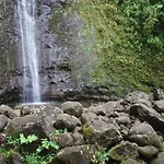 Kuhio Village 904A