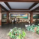 Waikiki Banyan