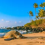 Kuhio Village 507