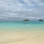 Island Colony 3512