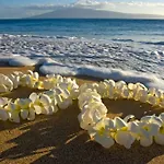 City View Studio With Pool Access In Aloha Surf!