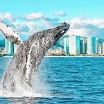 Studio In Waikiki With Free Parking