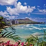 Alluring Luana Waikiki