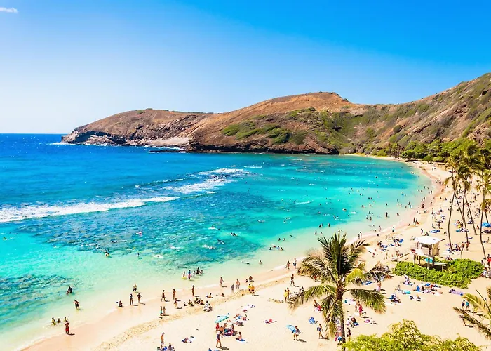 1Br With Great City Views, 3 Mins To Waikiki Beach!