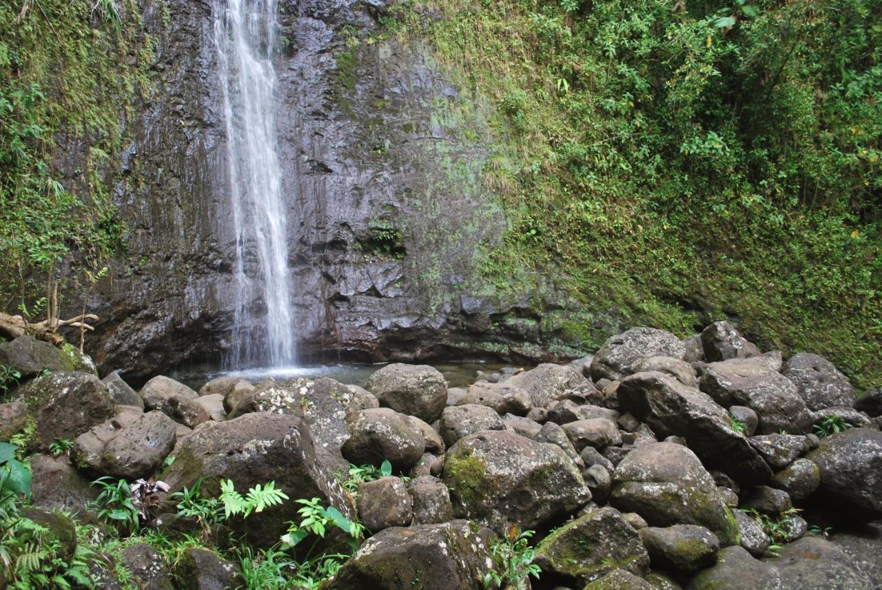 Hawaiian Monarch 2508 *