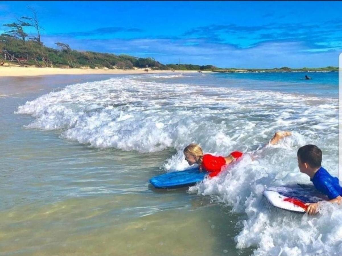 Private In Waikiki, Private Car Included, Beach Gear And Camping Gear Honolulu