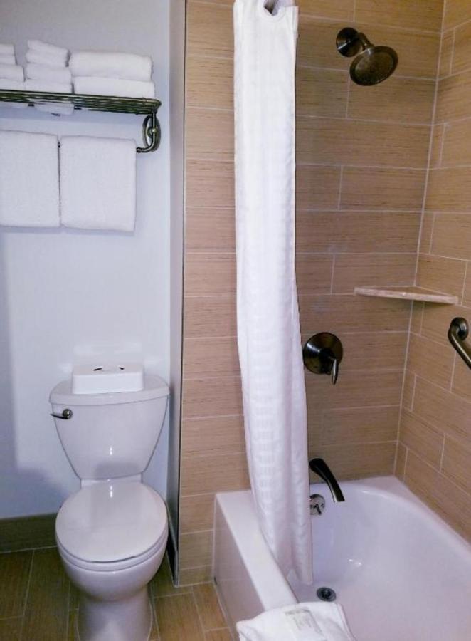 Private In Waikiki, Private Car Included, Beach Gear And Camping Gear * Honolulu