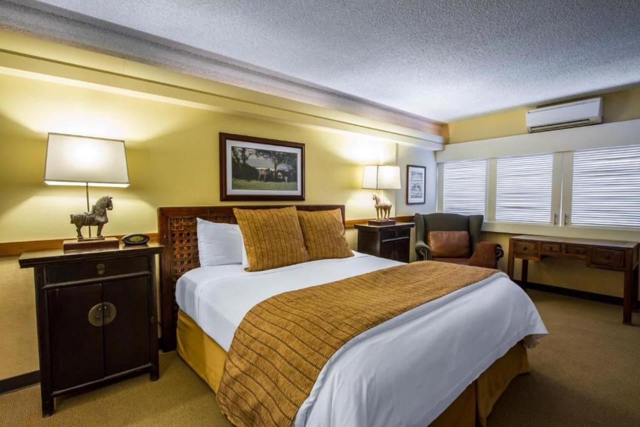The Equus Hotel 4*