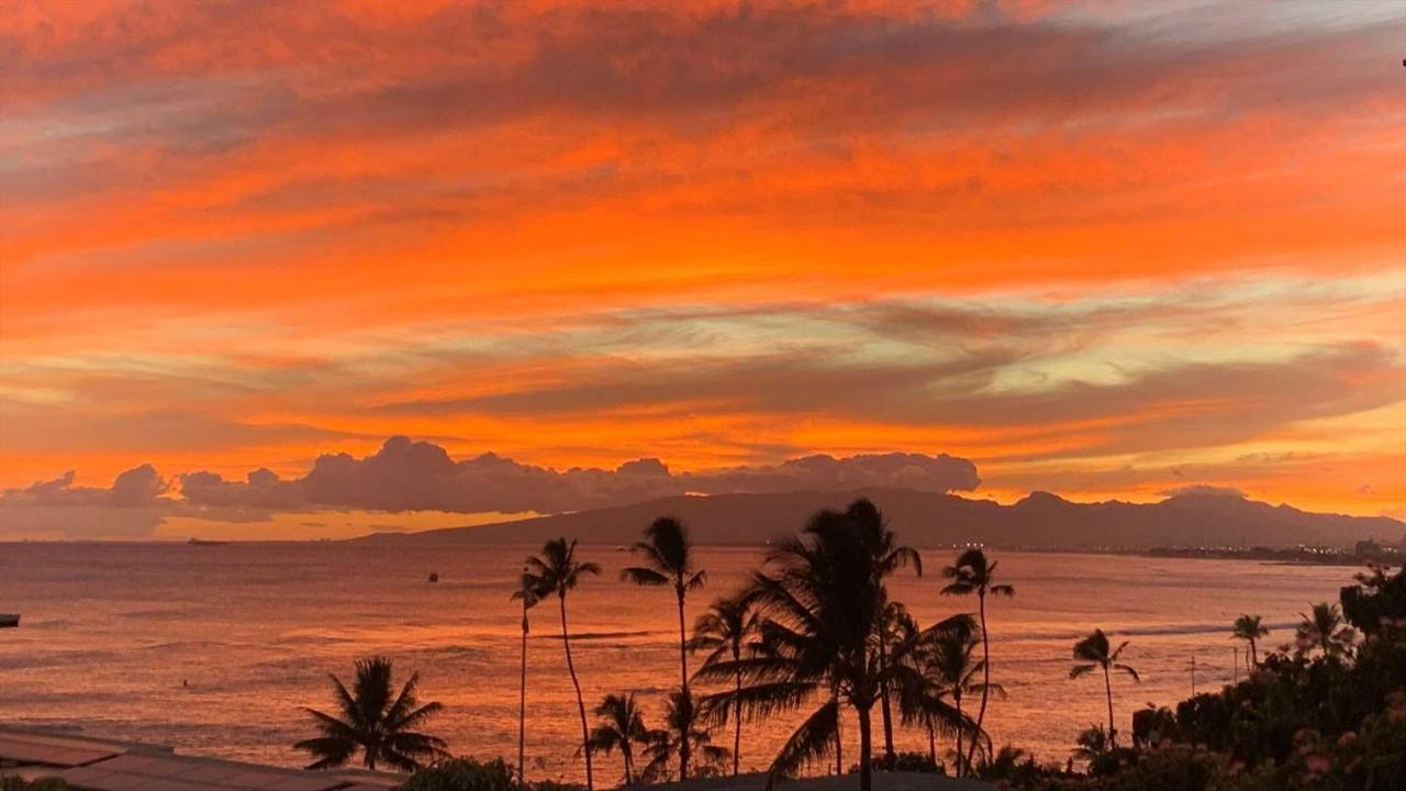 Diamond Head #805