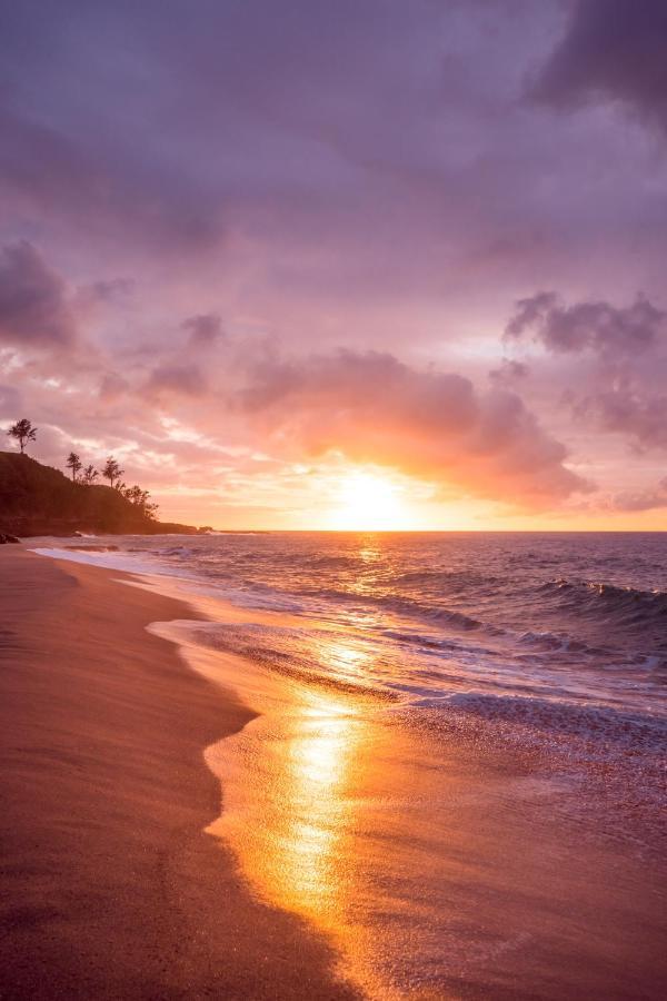 Free Parking, Pool, Sauna, Spa, Wifi, Bbq, Ac - Waikiki Banyan *