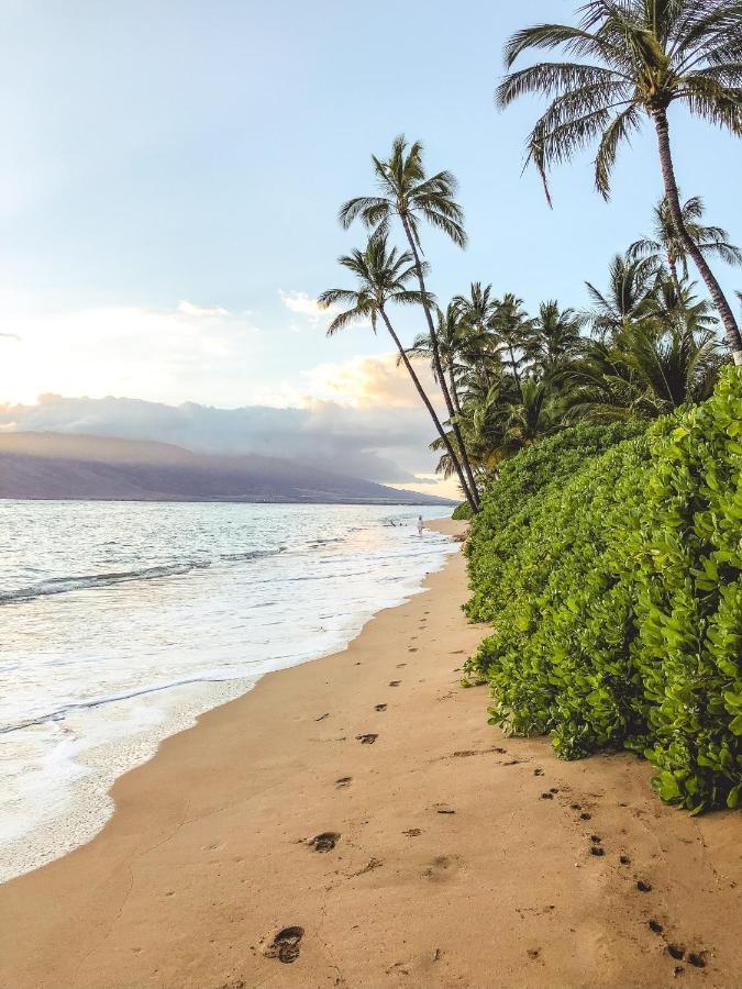 Free Parking, Pool, Sauna, Spa, Wifi, Bbq, Ac - Waikiki Banyan * Honolulu