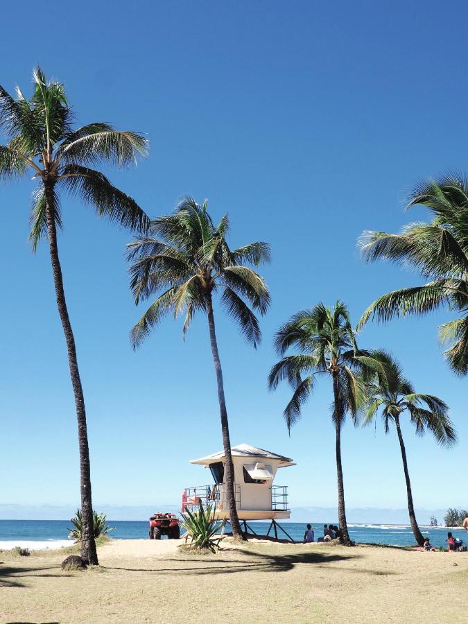 Free Parking, Pool, Sauna, Spa, Wifi, Bbq, Ac - Waikiki Banyan Apartment *